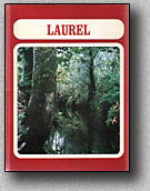 1975 Coquille High School's Yearbook "Laurel"