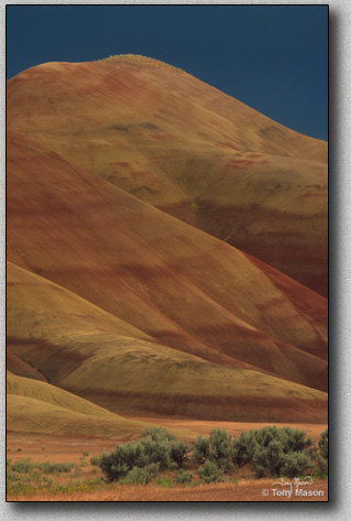 "Painted Hills' Sage & Sky" -  Tony Mason / Oregon Photo Tours