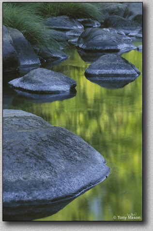 "Vibes Of Green" -  Tony Mason / Oregon Photo Tours