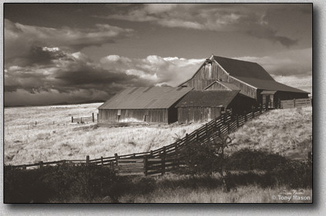 "Dalles Mountain Barn" -  Tony Mason / Oregon Photo Tours